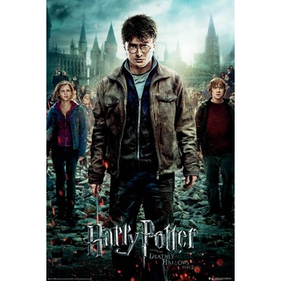 Plagát, Obraz - Harry Potter a Dary smrti, 61 × 91.5 cm