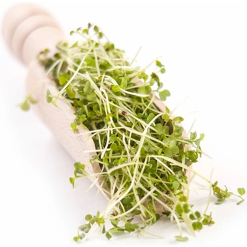 Biomiska Brokolica BIO semienka na klíčenie - 10 g