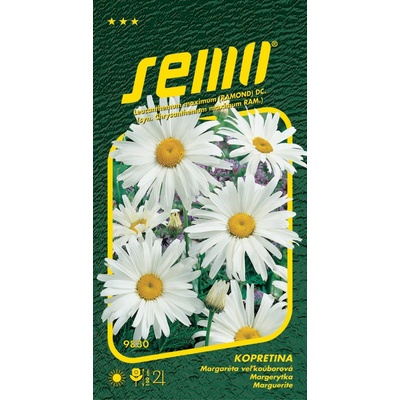 Semo Margaréta biela - Shasta Daisy 0,8g