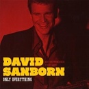SANBORN DAVID: ONLY EVERYTHING CD
