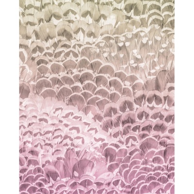 Komar Vliesová fototapeta Pale Feathers rozměry 200 x 250 cm