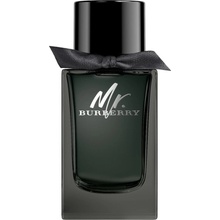 Burberry Mr. Burberry parfémovaná voda pánská 100 ml