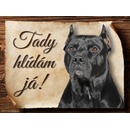 Sport hobby Cedulka Americký pitbulteriér Tady hlídám já! 20 x 15 cm