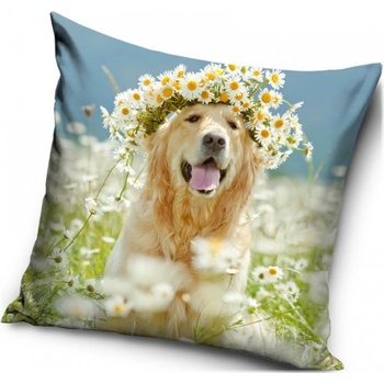 Carbotex zlatý retriever 40 x 40 cm