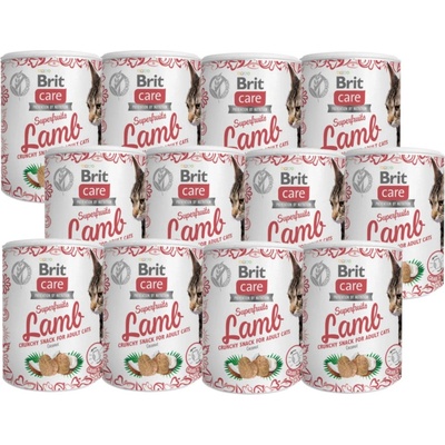 Brit Care Cat Snack Superfruits Lamb 12 x 100 g
