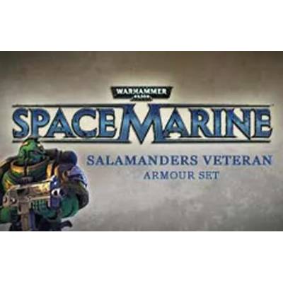 Игра Warhammer 40, 000: Space Marine - Salamanders Veteran Armour Set за PC Steam, Електронна доставка