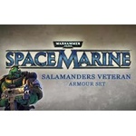THQ Warhammer 40,000 Space Marine Salamanders Veteran Armour Set DLC (PC)