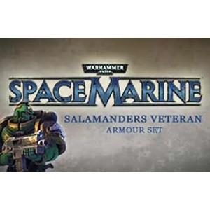 THQ Warhammer 40,000 Space Marine Salamanders Veteran Armour Set DLC (PC)