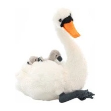 Labuť
