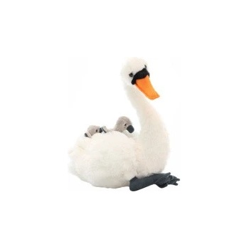 Labuť