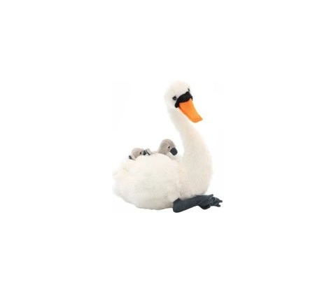 Labuť