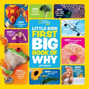 Little Kids First Big Book of Why (ISBN: 9780008825287)