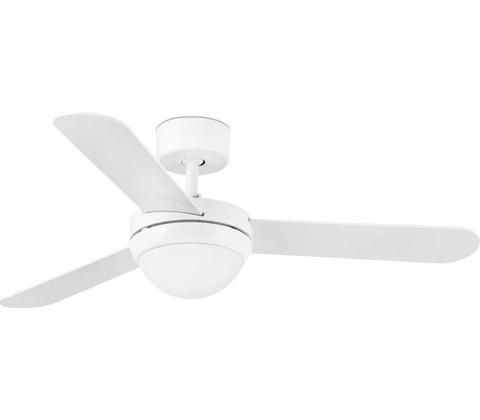Faro 33600