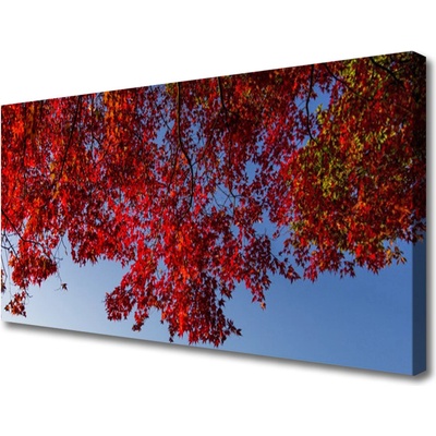 Obraz Canvas Strom listy vetvy príroda 100x50 cm