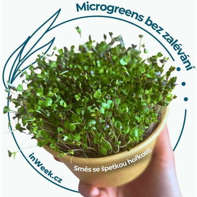 Microgreens semínka - Směs se špetkou hořkosti 1 ks sáčku semínek