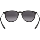 Image 1 of Ray-Ban Erika RB4171 622/8G