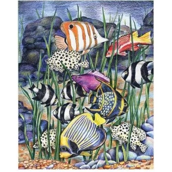 Image 1 of Royal & Langnickel - Творчески комплект за оцветяване по номера - Тропически риби (CPN7)