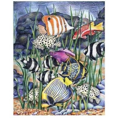 Royal & Langnickel - Творчески комплект за оцветяване по номера - Тропически риби (CPN7)