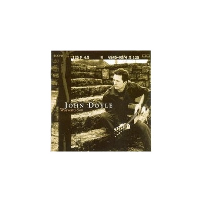 Doyle, John - Wayward Son