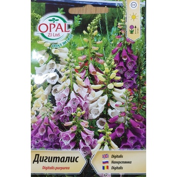 Image 1 of Opal Zi Дигиталис Микс Digitalis purpurea