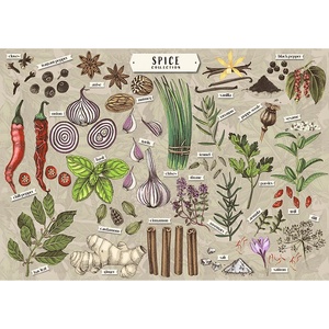 Trefl - Puzzle Premium Plus Finders Keepers: Spices - 500 piese