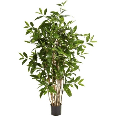 Umelá rastlina Dracaena surculosa branched 120 cm