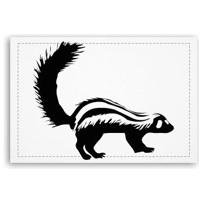 Fotoobraz 90x60 cm střední Skunk