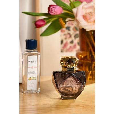 Maison Berger Paris Дифузер 302 ml (4850)