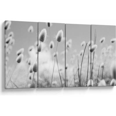 Obraz - Boho bunny tail grass, štvordielne 160x80 cm
