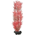 TETRA Myriophyllum heterophyllum (Red Foxtail) - растение Tetra 23 см, M
