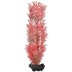 TETRA Myriophyllum heterophyllum (Red Foxtail) - растение Tetra 23 см, M