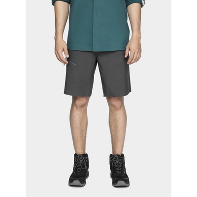 4F Men's shorts SKMD013 černá