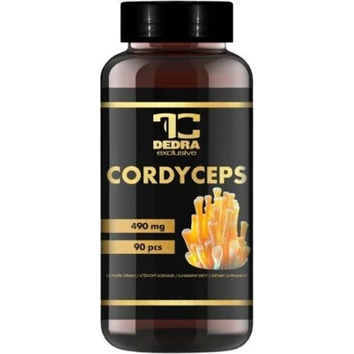 CORDYCEPS extrakt 10:1 490 mg, 90 kapslí