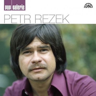 Petr Rezek - Pop galerie, CD