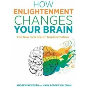 How Enlightenment Changes Your Brain | Mark Robert Waldman (2016)