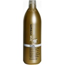 Inebrya Pro Age šampón 1000 ml