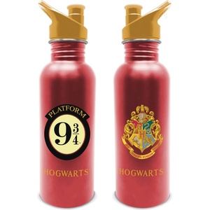 Character Harry Potter Platform 9 3/4 Metal Water Bottle - Harry Potter