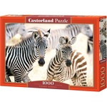 Castorland Пъзел Castorland от 1000 части - Млади зебри (C-105021-2)