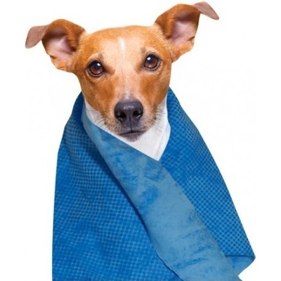 doogy! Chladící ručník 66 x 43 cm