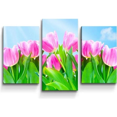 Sablio Obraz - 3-dílný Růžové tulipány - 75x50 cm