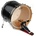 Evans 22" EQ4 Clear Bass