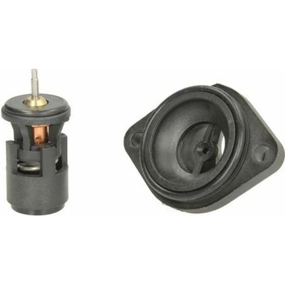 Termostat, chladivo THERMOTEC D2W004TT