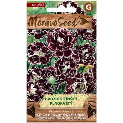 MORAVOSEED Hvozdík čínský plnokvětý, černo - bílý