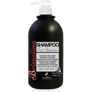 Brizzolina Shampoo For Men šampon pro muže na vlasy a vousy 1000 ml