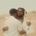 DEACON - Serpentwithfeet CD