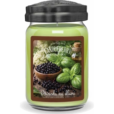 Candleberry Příroda na dlani 624 g