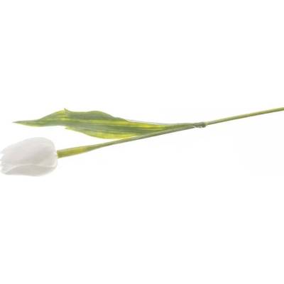 Květina UH tulipán bílý 40 cm