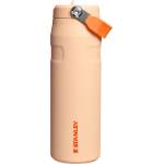 STANLEY 1913 Flip Straw 2.0 Drinking Bottle with Straw 0.7L - Thermal Mug Cools for 10 Hours - 3 Days Ice Cold - BPA Free - Leakproof - For Drink Holders - Dishwasher Safe - Orange Sherbert - 100000127824 (10