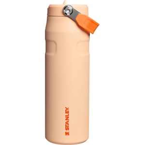 STANLEY 1913 Flip Straw 2.0 Drinking Bottle with Straw 0.7L - Thermal Mug Cools for 10 Hours - 3 Days Ice Cold - Orange Sherbert - 10-11283-0741 (10-11283-0741)