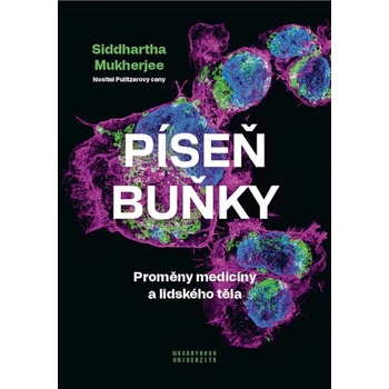 Píseň buňky
